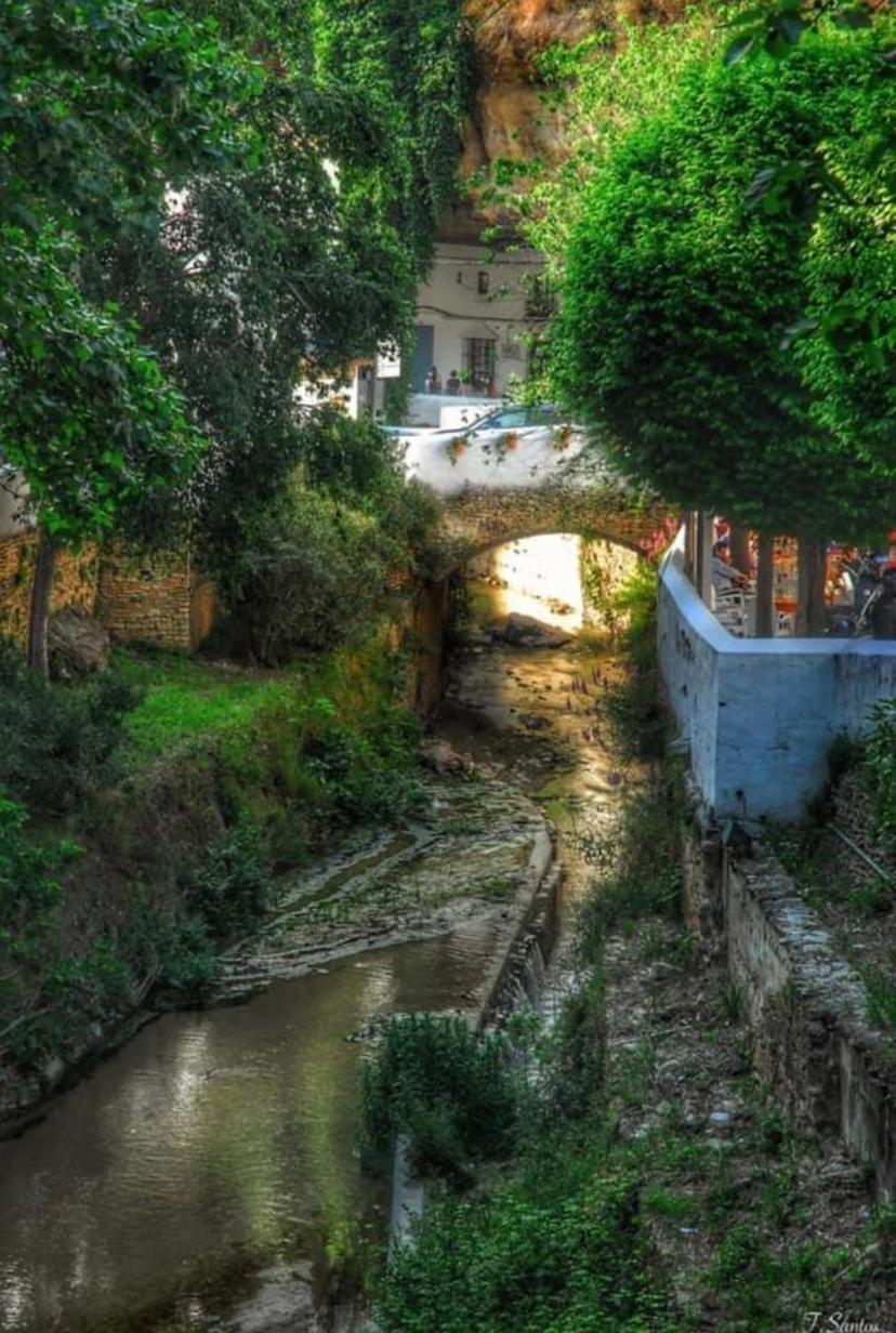 Casa Cueva Un Rincon En La Roca Villa Setenil De Las Bodegas ภายนอก รูปภาพ